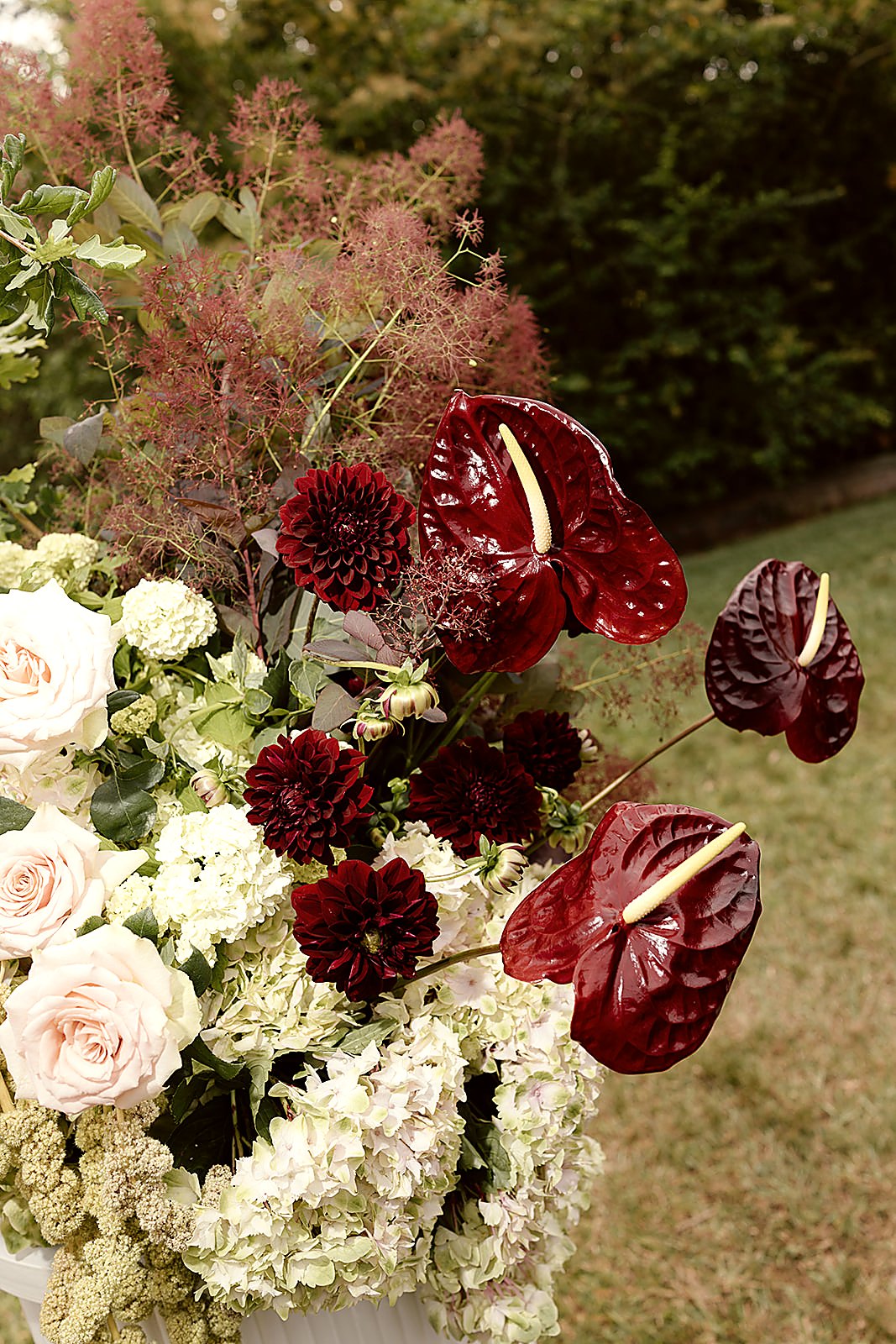Moody garden florals close-up with burgundy anthurium, dark dahlias and blush roses